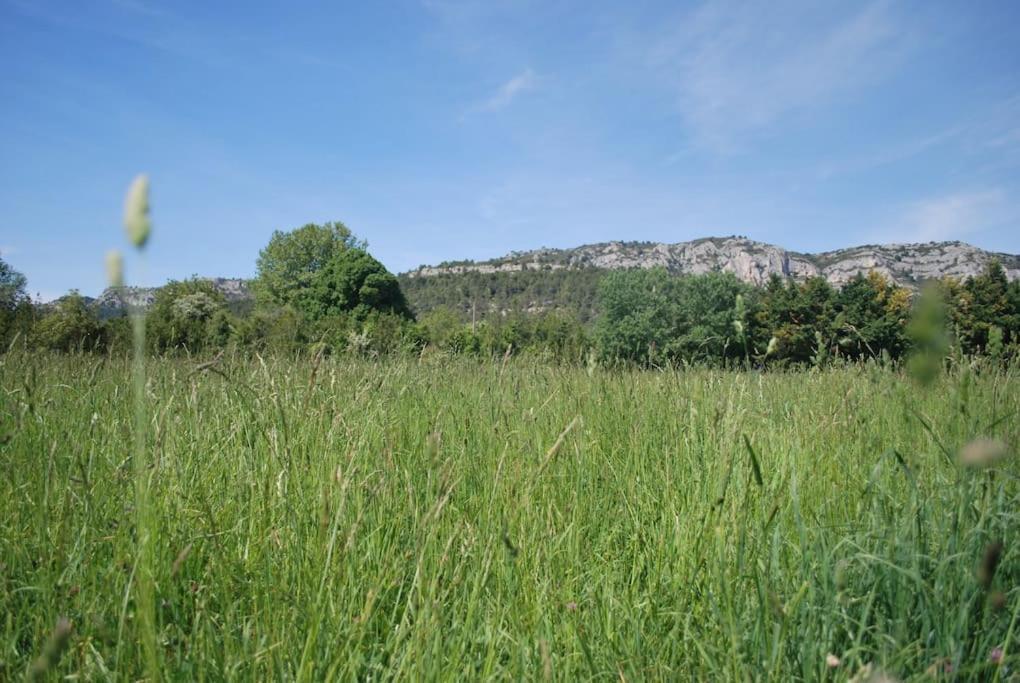 Le Cabanon Tendance Du Luberon Mérindol Buitenkant foto